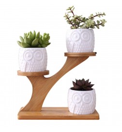 Awin Design Flower Stand